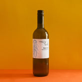 Tule Catarratto, Cantine Rallo 2023